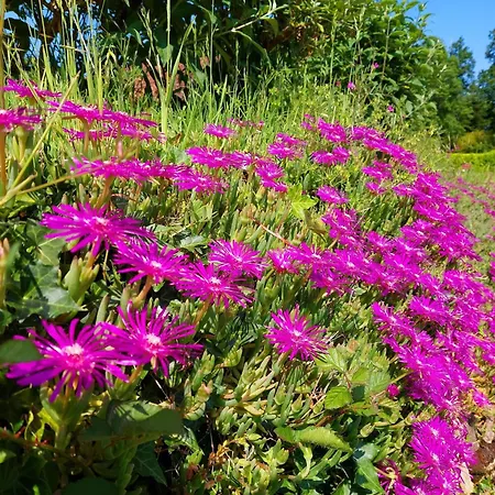 Feriehus Romantic With Shared Swimming Pool