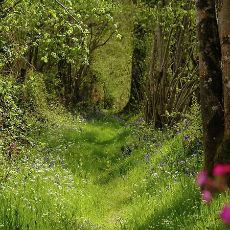 Romantic With Shared Swimming Pool Сasa de vacaciones Roussines